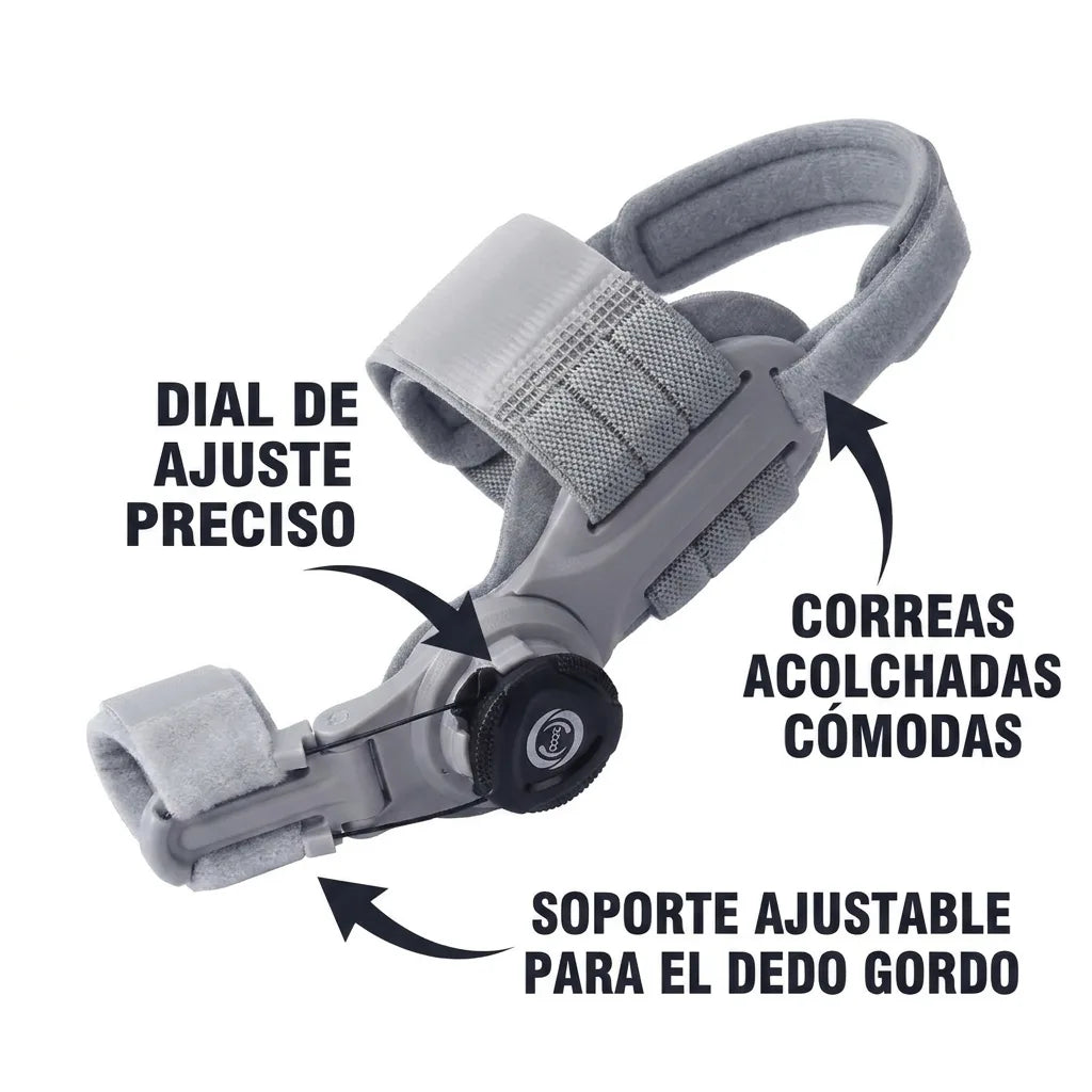 Galería